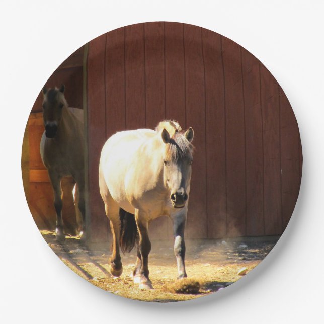 Assiettes En Carton Plaques en papier pour chevaux (Devant)