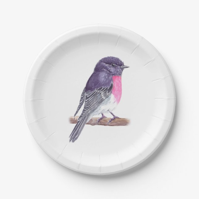 Assiettes En Carton Plaques en papier Robin (Devant)