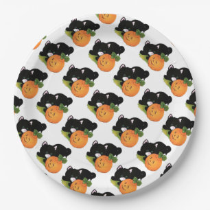 Assiettes En Carton Plaques papier 9"/Chat noir et Citrouille