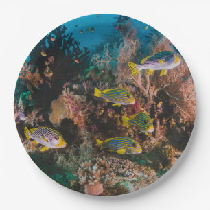 Assiettes En Carton Plaques papier Coral Reef