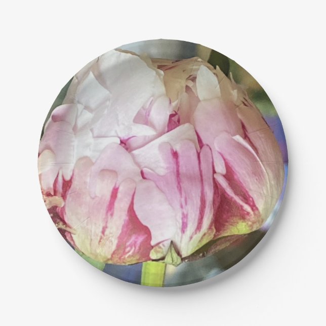 Assiettes En Carton Plaques Papier Peony Parfaites (Devant)