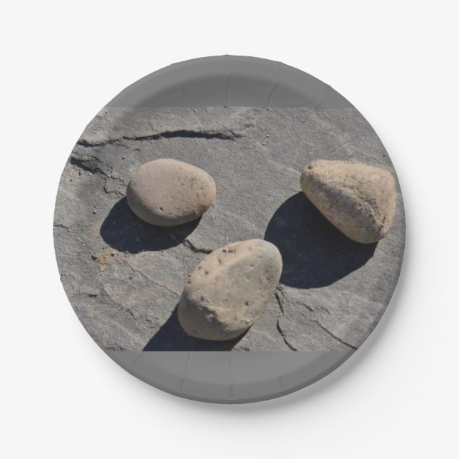 Assiettes En Carton Plaques Rock and Roll Party (Devant)