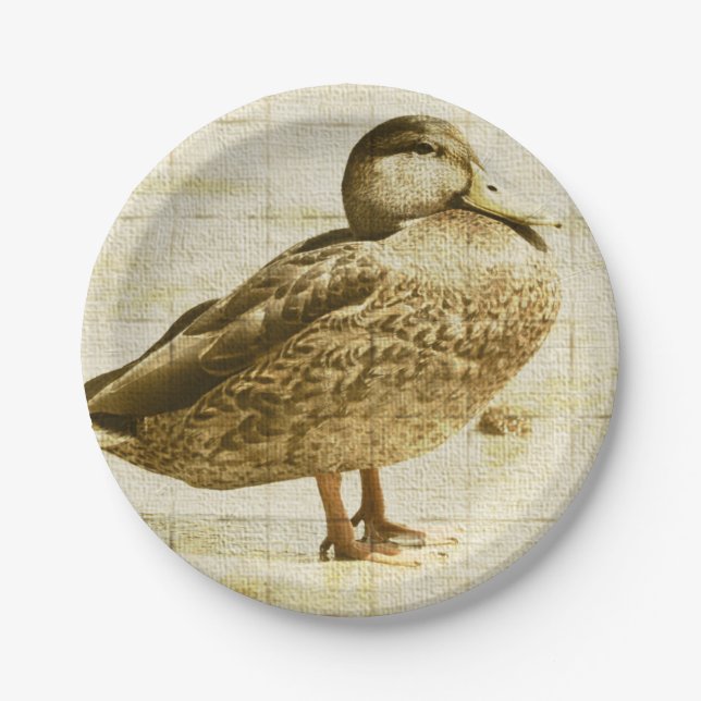 Assiettes En Carton Plat de canard (Devant)