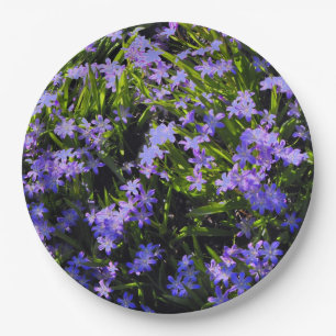 Assiettes En Carton Plate-forme à ressort bleu Squill