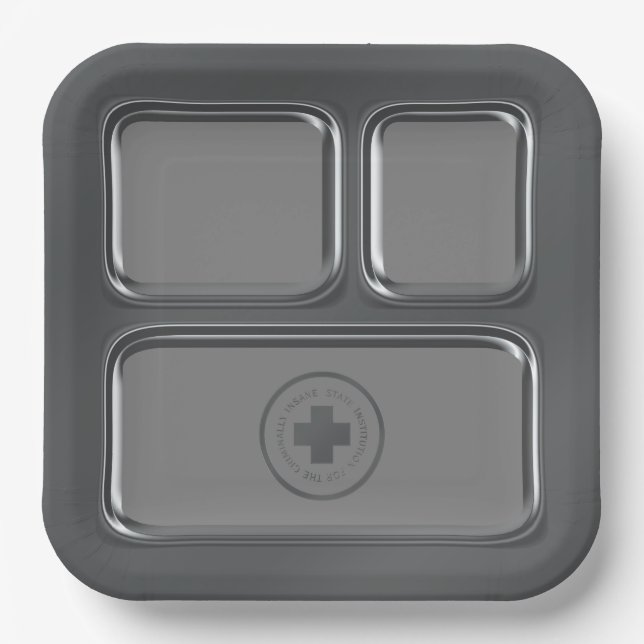 Assiettes En Carton Plateau alimentaire de l'hôpital Faux Steel (Recto)