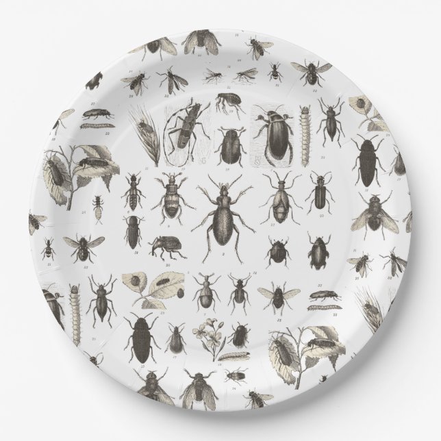 Assiettes En Carton Plats drôles d'anniversaire de enfant d'insecte (Devant)