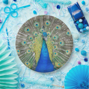 Assiettes En Carton Plumage bleu Peacock