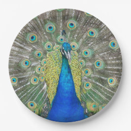 Assiettes En Carton Plumage bleu Peacock