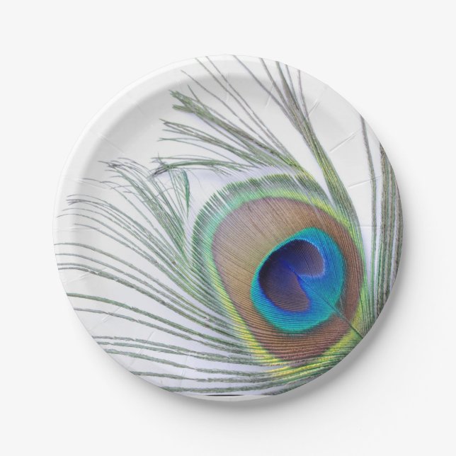 Assiettes En Carton Plume de paon (Devant)