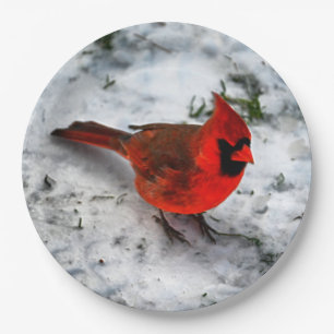 Assiettes En Carton Plumes cardinales rouges et plumage