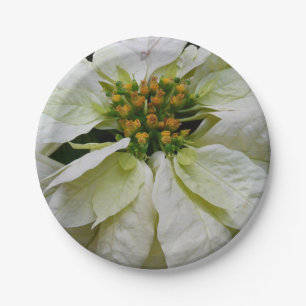 Assiettes En Carton Poinsettia Elegant Christmas Holiday Floral