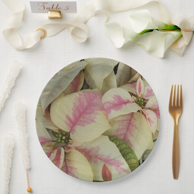 Assiettes En Carton Poinsettias rose et crème Floral (Mariage)