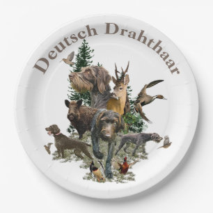 Assiettes En Carton Pointeur À poils durs allemand