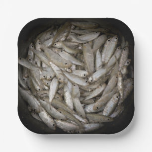 Assiettes En Carton Poisson dans un seau