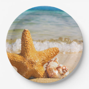 Assiettes En Carton Poisson étoilé et coquillages sur la plage