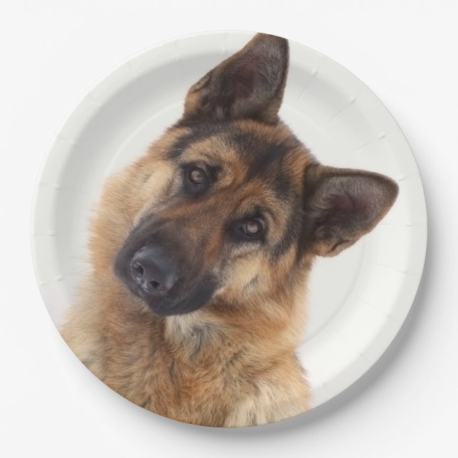 Assiettes En Carton Portrait amusant et adorable de berger allemand (Devant)