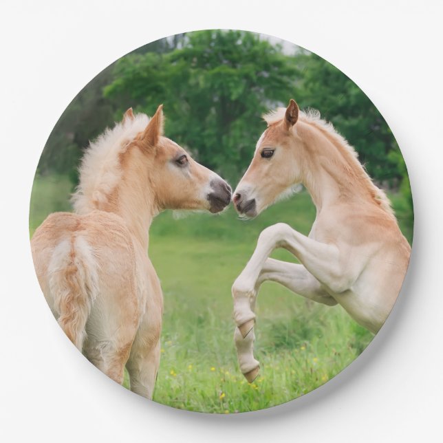 Assiettes En Carton Poulains mignons de chevaux de Haflinger (Devant)