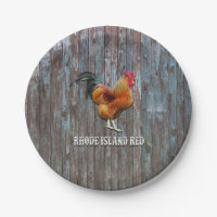 Poulet rouge de Rhode Island