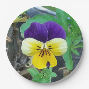Assiettes En Carton Purple et Yellow Pany