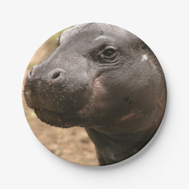Assiettes En Carton pygmy-hippo-1 (Devant)