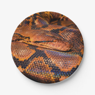 Assiettes En Carton Python Snake