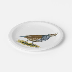 Assiettes En Carton Quail à échelle