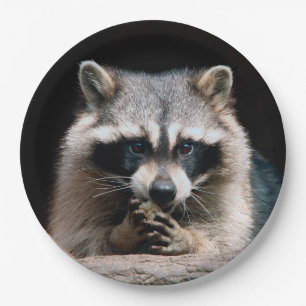 Assiettes En Carton Raccoon 004