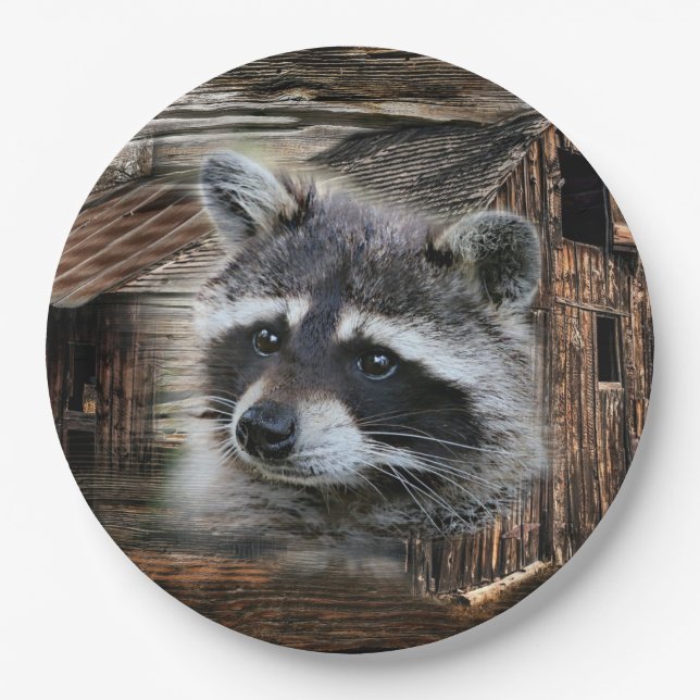 Assiettes En Carton Raccoon À L'Ancienne Grange (Devant)
