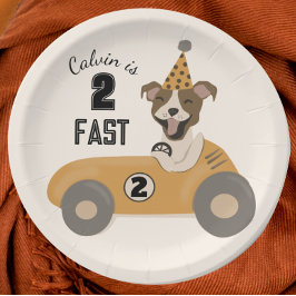 Assiettes En Carton Race Car Chien Boys Deux Fête D'Anniversaire Rapid