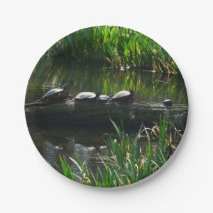 Assiettes En Carton Rangée de tortues Green Nature Photo