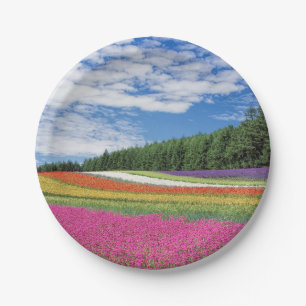 Assiettes En Carton Rangées de fleurs de champ d'été