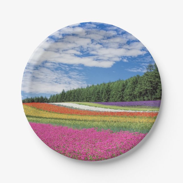 Assiettes En Carton Rangées de fleurs de champ d'été (Devant)