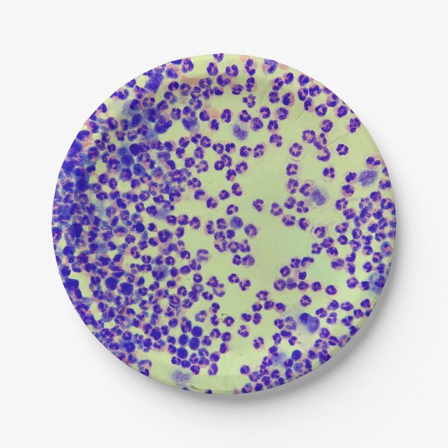 Assiettes En Carton rbcs wbcs laboratoire de diapositive microscope hé (Devant)