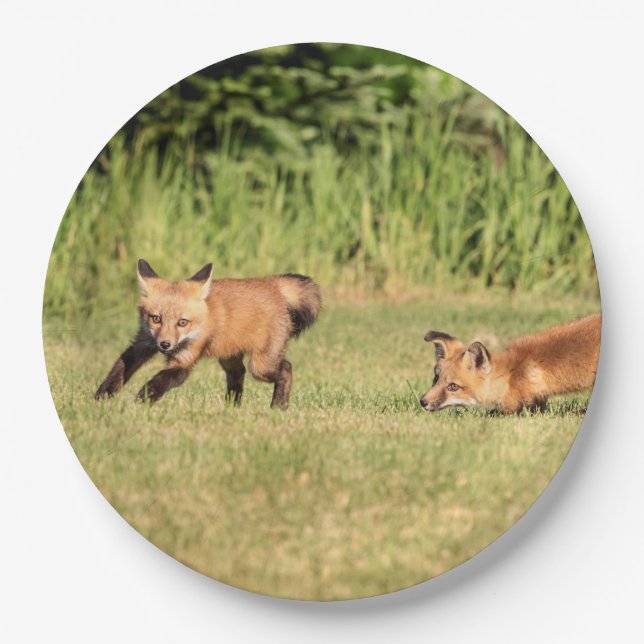 Assiettes En Carton Red Fox Kits Jouer (Devant)