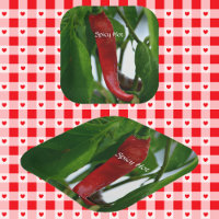 Red Hot Chili Pepper Green Red White Photographie