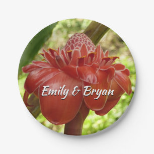 Assiettes En Carton Red Torch Ginger Tropical Flower Photographie
