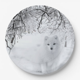 Assiettes En Carton Renard des neiges dans les bois d'hiver