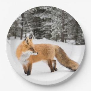 Assiettes En Carton Renard rouge en neige blanche