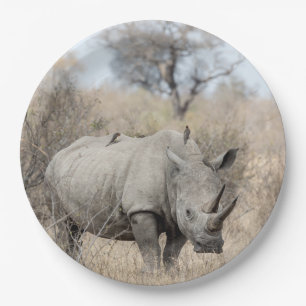 Assiettes En Carton Rhino blanc