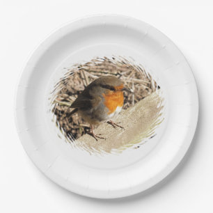ASSIETTES EN CARTON ROBIN