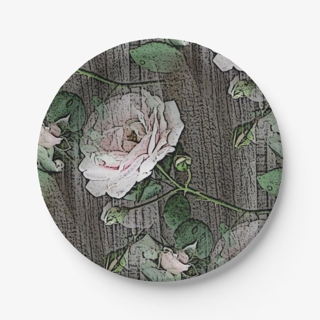 Assiettes En Carton Rose (Devant)