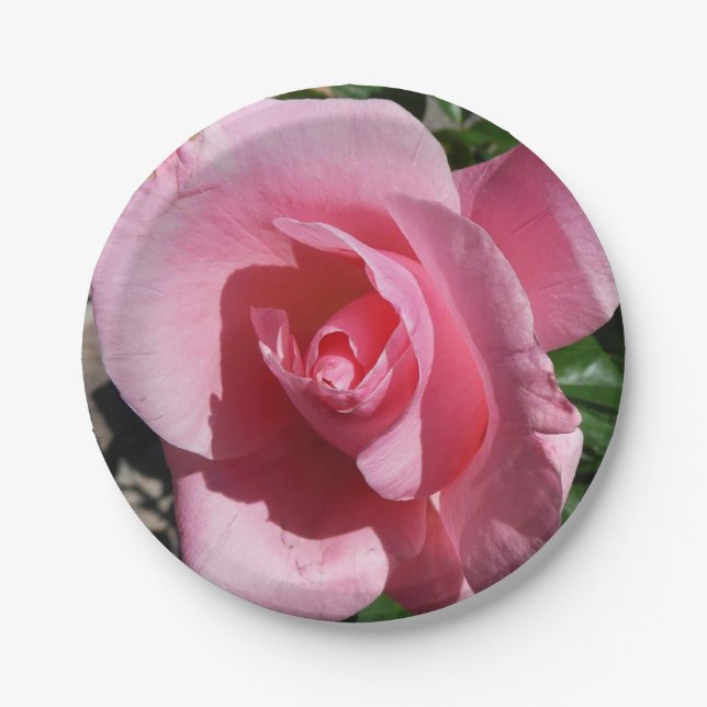 Assiettes En Carton Rose III Jardin Floral (Devant)