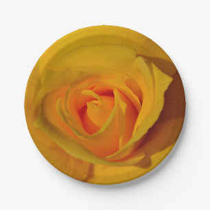 Assiettes En Carton Rose jaune