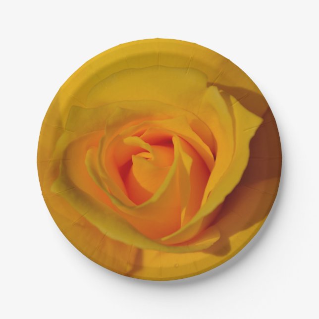 Assiettes En Carton Rose jaune (Devant)