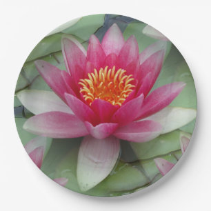 Assiettes En Carton Rose Lotus Water Lily