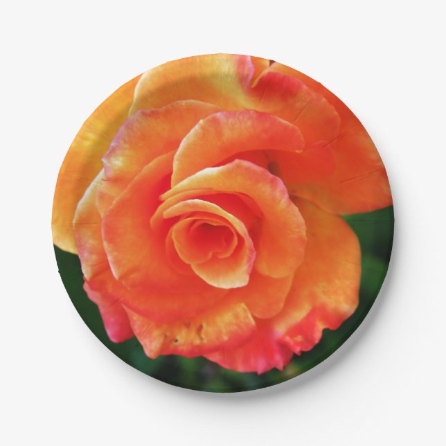 Assiettes En Carton Rose orange (Devant)