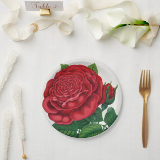 Assiettes En Carton Rose Print Rochester Lithographing and Printing Co