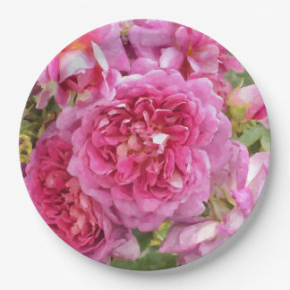 Assiettes En Carton Rose rose rose