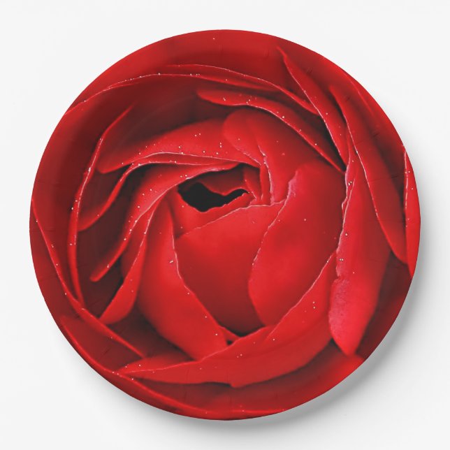 ASSIETTES EN CARTON ROSE ROUGE (Devant)
