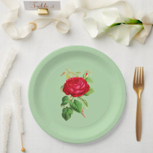 Assiettes En Carton Rose rouge peinte sur fond vert clair